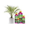 Wilma Palm voeding 250ml