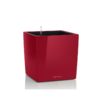 Lechuza Cube premium 30 Scharlakenrood hoogglans