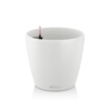Lechuza Classico Color 43 Wit
