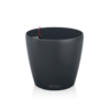 Lechuza Classico Color 43 Slate