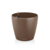 Lechuza Classico Color 43 Muskaat