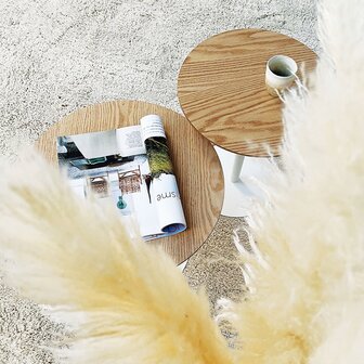 Ronde design salontafel &#039;DILA H40&#039; in natuurlijke houtafwerking en wit metaal
