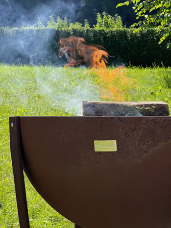 Barbecue Plancha IRIS 100 Zwart